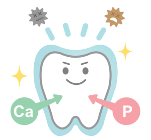 枚方市楠葉の歯医者、たかぎ歯科クリニックで歯磨き粉の成分「ハイドロキシアパタイト入り」と「フッ素入り」の違いについて解説